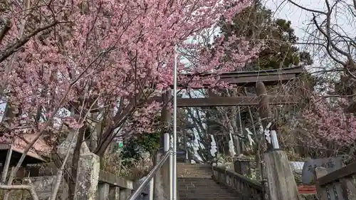 琴平神社の自然