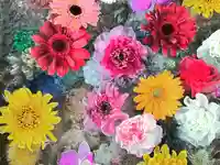 札幌諏訪神社の手水舎