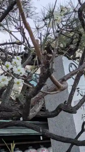 文子天満宮(京都府)