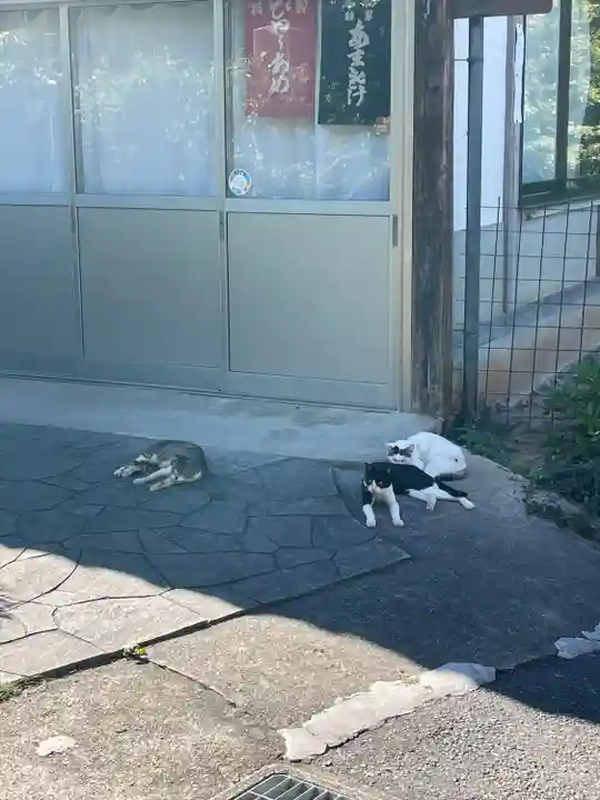 浄瑠璃寺(京都府)