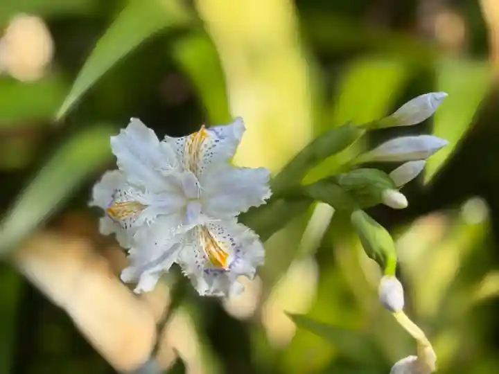 西方山極楽寺(岐阜県)
