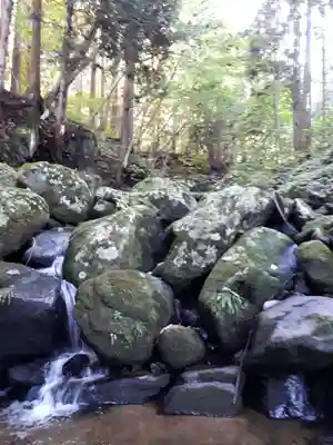 大澤瀧神社の自然