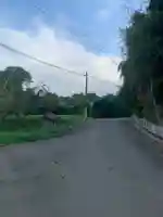 神社(名称不明)(千葉県)