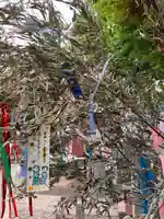 小野照崎神社(東京都)