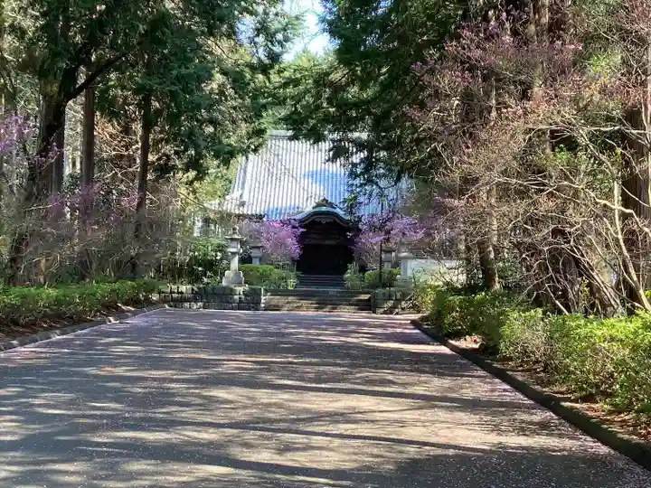 妙蓮寺(静岡県)