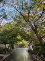 高円寺(東京都)