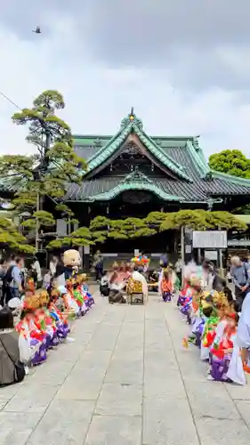 題経寺（柴又帝釈天）のお祭り