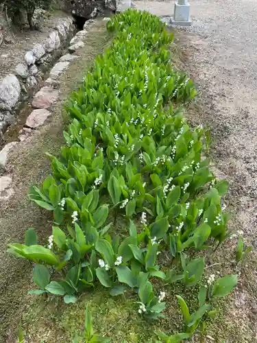 永澤寺(兵庫県)