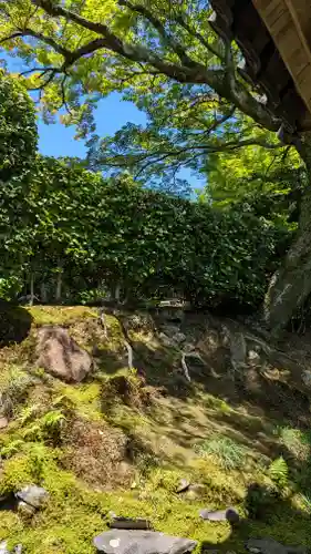法蔵禅寺(京都府)