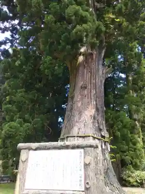 清澄寺(千葉県)