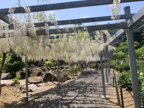 金蛇水神社の{uncategorized: "未分類", other: "その他", undefined: "問題あり", building: "その他建物", grave: "お墓", sacred_gate: "鳥居", guardian: "狛犬", statue: "像", buddha: "仏像", history: "歴史", nature: "自然", garden: "庭園", animal: "動物", pagoda: "塔", temizu: "手水舎", mountain_gate: "山門・神門", sanctuary: "本殿・本堂", subordinate: "末社・摂社", art: "芸術", scenery: "景色", jizo: "地蔵", ema: "絵馬", goshuin: "御朱印", omikuji: "おみくじ", items: "授与品その他", amulet: "お守り", goshuincho: "御朱印帳", eats: "食事", festival: "お祭り", votive_dance: "神楽", shichigosan: "七五三参", wedding: "結婚式", experience: "体験その他", initially: "初詣", around: "周辺", anti_infection: "感染症対策"}