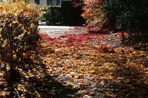 滑川神社 - 仕事と子どもの守り神の自然