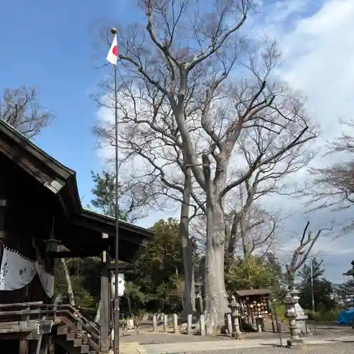 日吉神社(福島県)