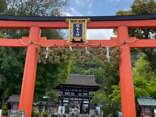 松尾大社の鳥居