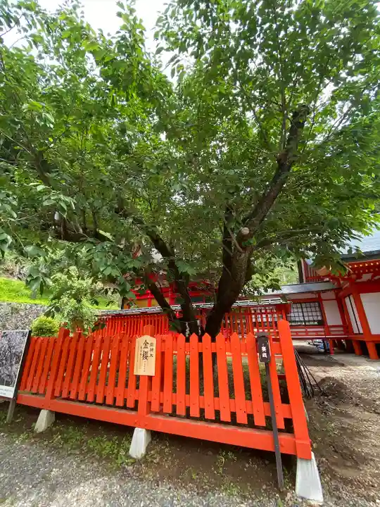 金櫻神社(山梨県)