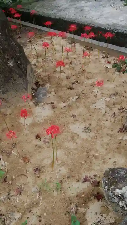 願掛け寺 香林寺の自然