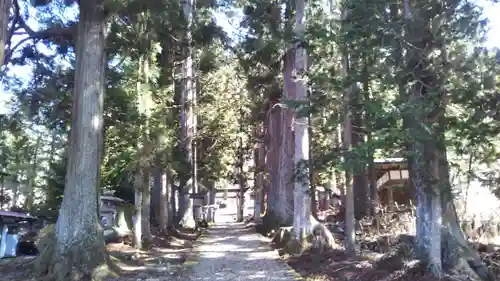 早池峯神社の自然