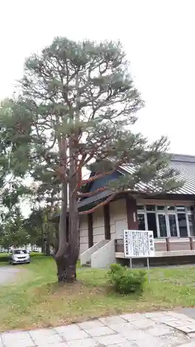 旭川神社の自然