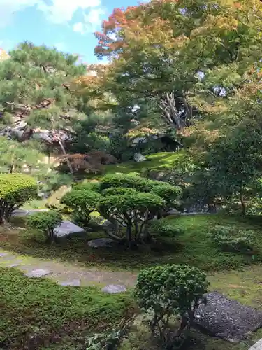 宝鏡寺の庭園