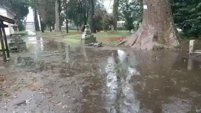 酒門神社(茨城県)