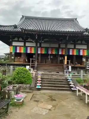 般若寺 ❁﻿コスモス寺❁(奈良県)