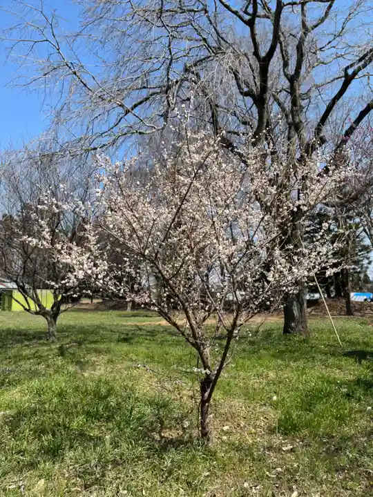東持寺(茨城県)