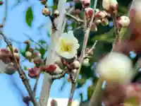 伊勢の国 四天王寺(三重県)