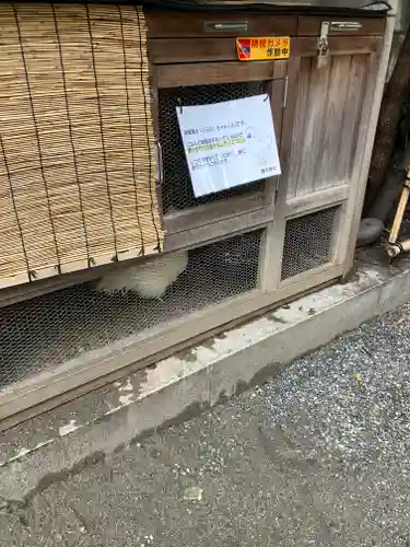 櫻木神社(東京都)