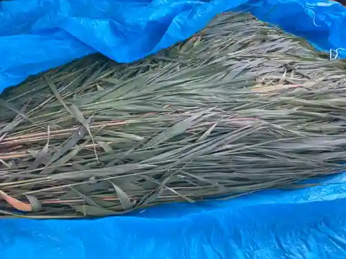 總社 和田八幡宮(福井県)