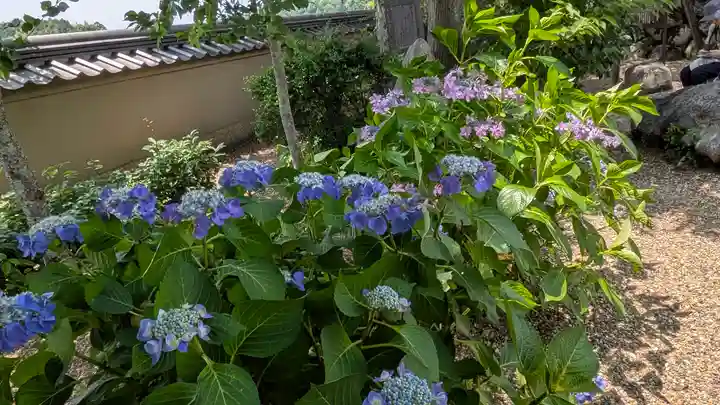 飛鳥寺(奈良県)