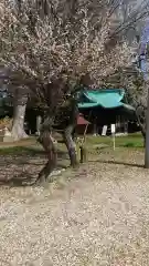 酒門神社の自然