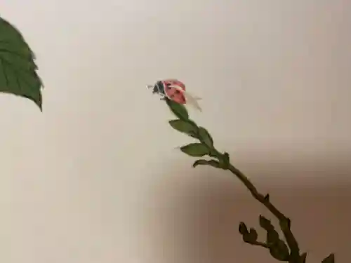 大雄院(京都府)