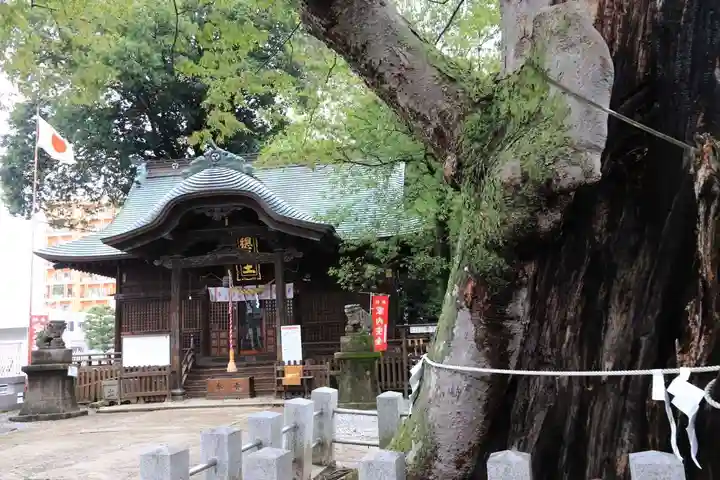 阿邪訶根神社の本殿・本堂
