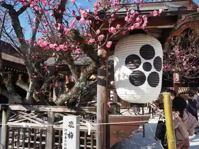 北野天満宮のその他建物