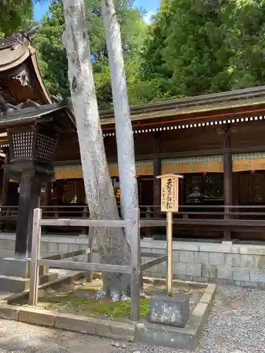 諏訪大社下社秋宮(長野県)