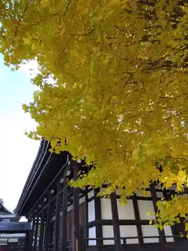本法寺(京都府)
