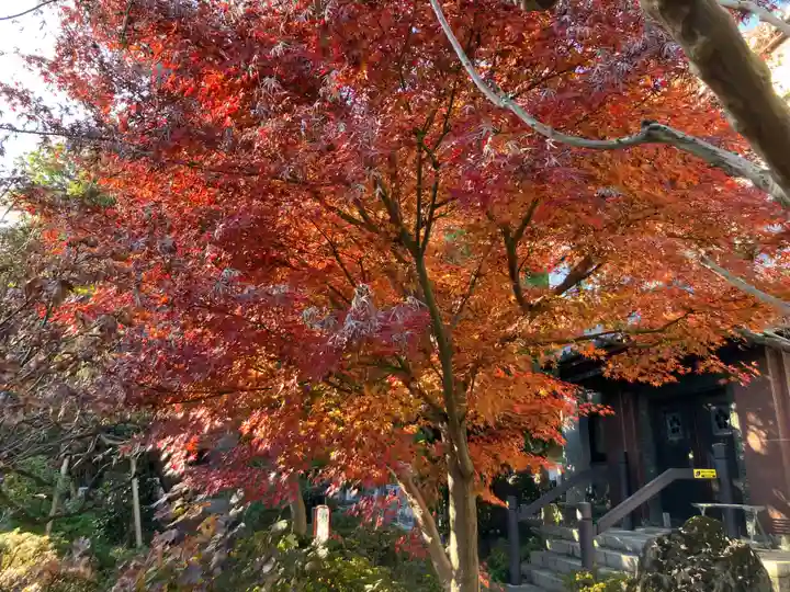 普門院(東京都)