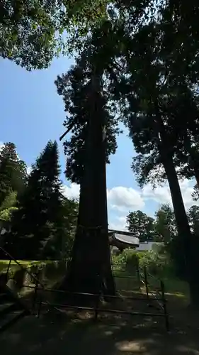 安居寺(富山県)