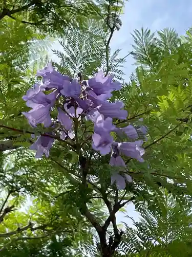 普照院(兵庫県)