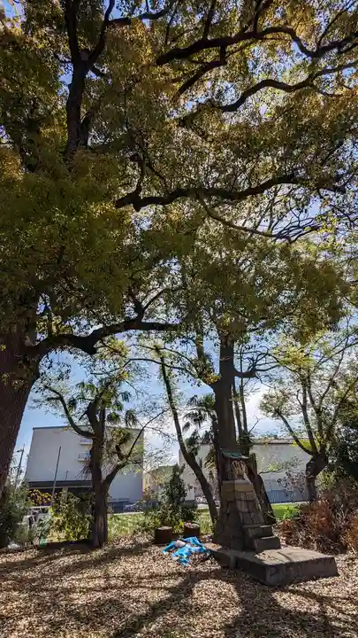 常磐神社(京都府)