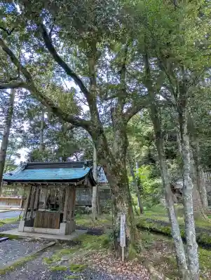 度津神社の{uncategorized: "未分類", other: "その他", undefined: "問題あり", building: "その他建物", grave: "お墓", sacred_gate: "鳥居", guardian: "狛犬", statue: "像", buddha: "仏像", history: "歴史", nature: "自然", garden: "庭園", animal: "動物", pagoda: "塔", temizu: "手水舎", mountain_gate: "山門・神門", sanctuary: "本殿・本堂", subordinate: "末社・摂社", art: "芸術", scenery: "景色", jizo: "地蔵", ema: "絵馬", goshuin: "御朱印", omikuji: "おみくじ", items: "授与品その他", amulet: "お守り", goshuincho: "御朱印帳", eats: "食事", festival: "お祭り", votive_dance: "神楽", shichigosan: "七五三参", wedding: "結婚式", experience: "体験その他", initially: "初詣", around: "周辺", anti_infection: "感染症対策"}
