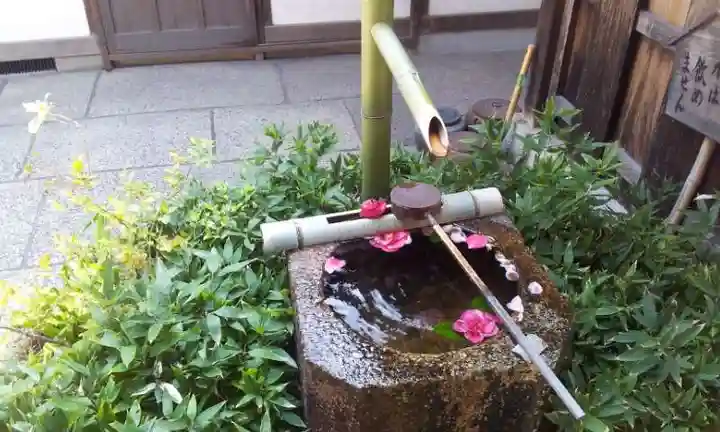 妙心寺(妙心禅寺)の手水舎