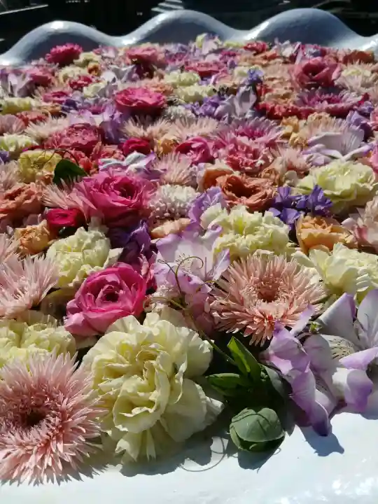 最明寺の{uncategorized: "未分類", other: "その他", undefined: "問題あり", building: "その他建物", grave: "お墓", sacred_gate: "鳥居", guardian: "狛犬", statue: "像", buddha: "仏像", history: "歴史", nature: "自然", garden: "庭園", animal: "動物", pagoda: "塔", temizu: "手水舎", mountain_gate: "山門・神門", sanctuary: "本殿・本堂", subordinate: "末社・摂社", art: "芸術", scenery: "景色", jizo: "地蔵", ema: "絵馬", goshuin: "御朱印", omikuji: "おみくじ", items: "授与品その他", amulet: "お守り", goshuincho: "御朱印帳", eats: "食事", festival: "お祭り", votive_dance: "神楽", shichigosan: "七五三参", wedding: "結婚式", experience: "体験その他", initially: "初詣", around: "周辺", anti_infection: "感染症対策"}