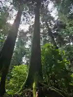 最乗寺(道了尊)の自然