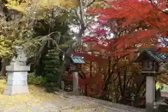 三春大神宮の自然