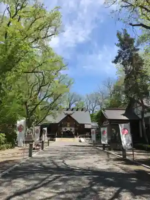 旭川神社の本殿・本堂