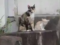 誓願寺(京都府)