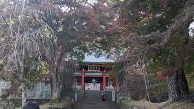 妙義神社(群馬県)