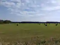 中標津神社(北海道)