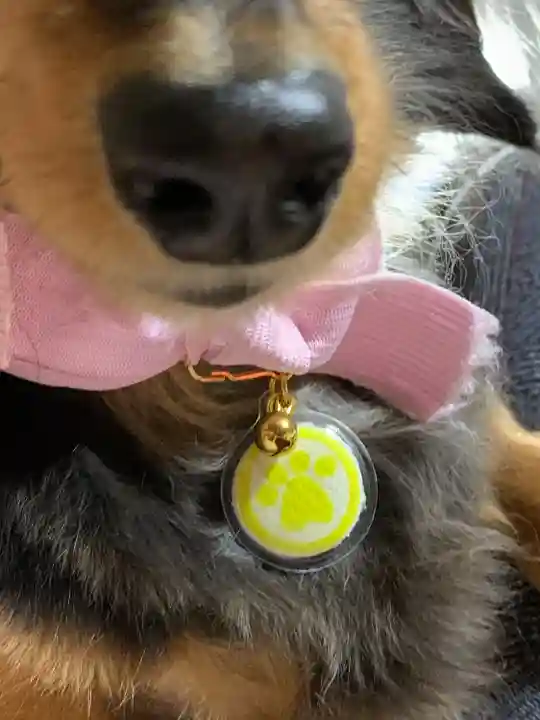 松阪神社(三重県)